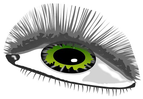 Green Eye Clipart Free Download Transparent Png Creazilla