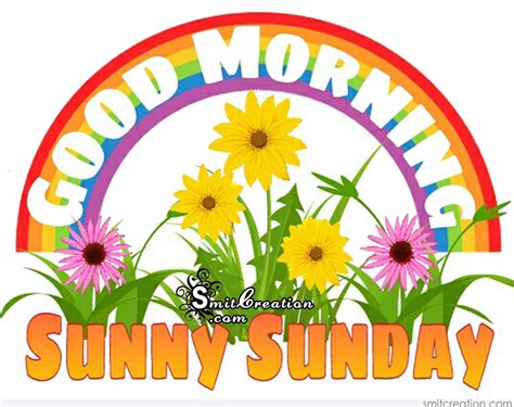Sunny Sunday Morning Images Good Morning Motivational Quotes