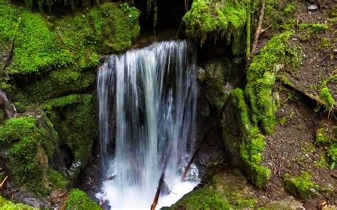 25 Amazing Vancouver Island Waterfalls You Must Visit Off Track Travel
