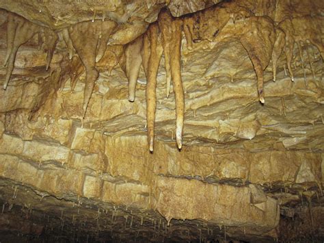 Travertine Stalactites In Great Onyx Cave Flint Ridge Mammoth Cave