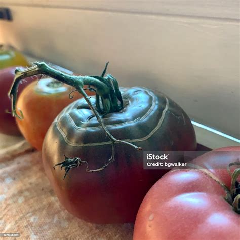 Tomato With Radial Cracking On Window Sill Stock Photo Download Image