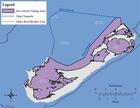 Apply For A Recreational Lobster Diving Licence Government Of Bermuda