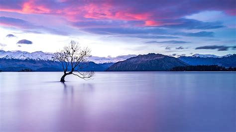 New Zealand Lake View Laptop Full Nature And Background Hd