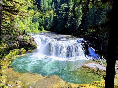 Lewis River Falls At Ford Pinchot National Forest Washington