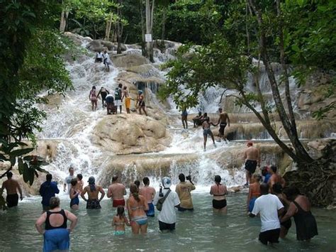 tour jamaica today ocho rios jamaika review tripadvisor