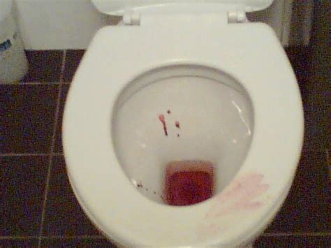 Blood Toilet 3 By Lord Flesh On Deviantart