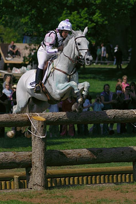 Facebookseite des freundeskreis vielseitigkeitsreiten in. Vielseitigkeitsreiten - Wiktionary