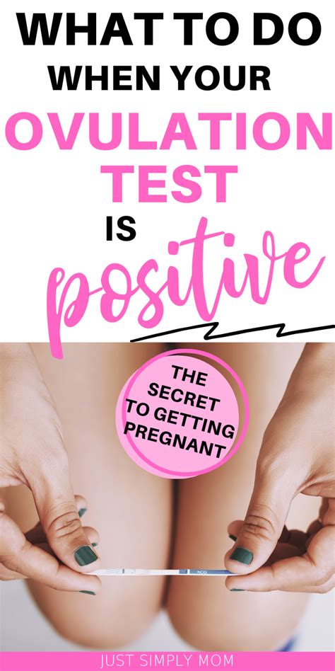 What To Do When Your Ovulation Test Is Positive Just Simply Mom