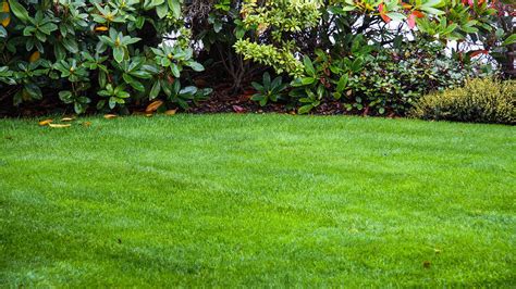 Beautiful Lawns Guaranteed A Better Green Lawncare Inc Lawn Care