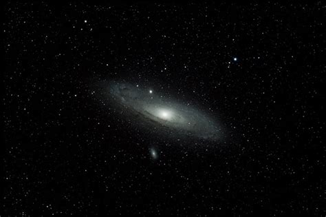 Andromeda Sponli News