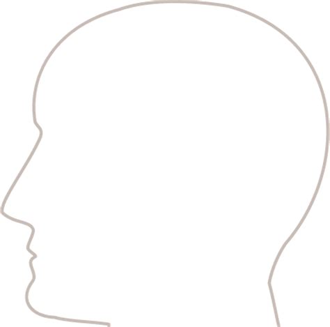 Brain Quiz | Project NEURON | University of Illinois ...