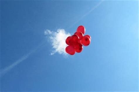 Fachhandel veröffentlicht unter garten / bau / wohnen; Heliumgas im Baumarkt oder Im Fachhandel kaufen ...