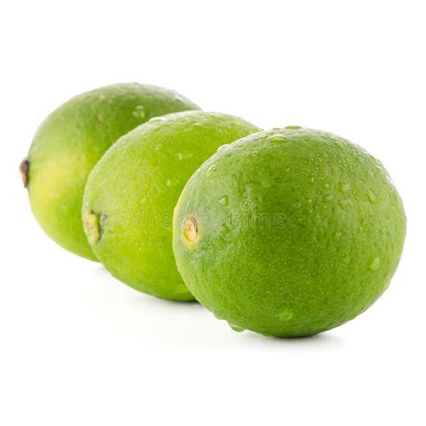 Fresh Green Limes Stock Image Image Of Slice Isolated 35490967