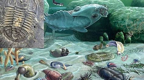 Plate Tectonics May Have Driven Cambrian Explosion Geology In