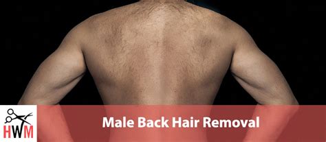 With the smooth gorilla back hair removal system you can effortlessly remove your back hair quickly, painlessly, whenever you like without even leaving the house. Best Male Back Hair Removal Options - Hair World Magazine