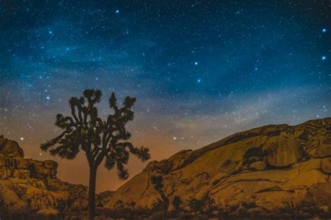 California Desert Night Stock Photos Pictures And Royalty Free Images