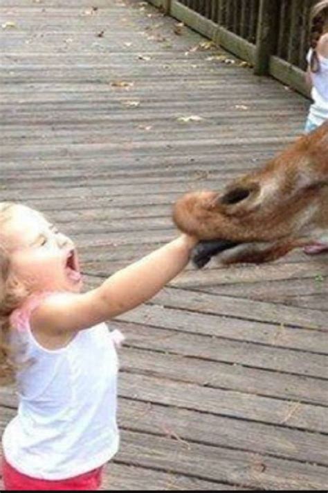 Forget Cats Funny Kids Vs Zoo Animals Are Way Funnier Try Not To