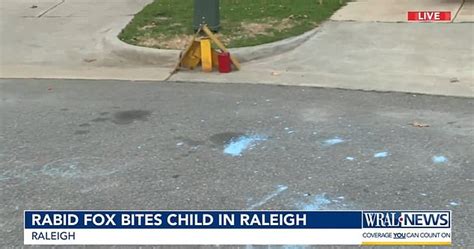 North Carolina County Issues Rabies Warning After 4 Year Old Girl Was