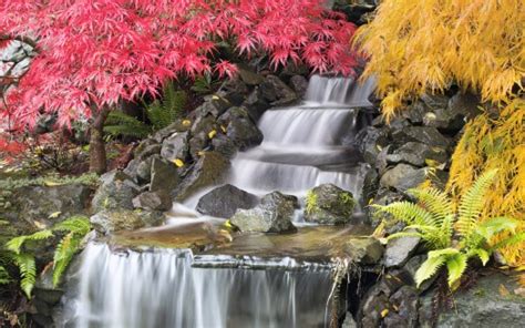 Waterfalls Stream On Stones Between Red Yellow Leaves Fall Trees Hd