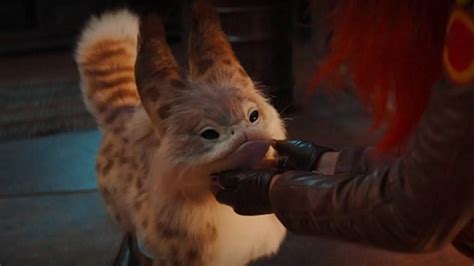 Ahsoka Disney Divulga Pôster Oficial Do Gato Loth