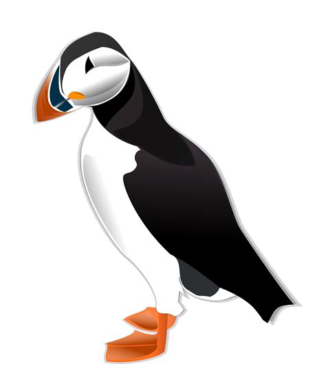 Atlantic Puffin Svg Download Atlantic Puffin Svg For Free 2019