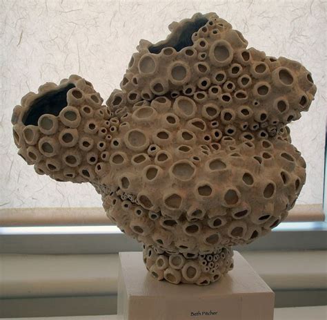 Ceramics Natural Forms Beth Pitcher Nature Inspired Ceramics