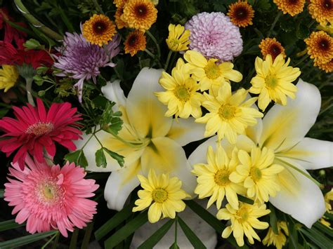 Such as in our collection of pictures of beautiful bouquets! cool wallpapers: beautiful flowers