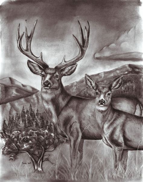 Wildlife Drawings Buck And Doe Mule Deer Олень рисунок Олень