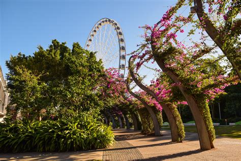 When you'll need a premier bank of the south routing number? South Bank | The Park Hotel Brisbane