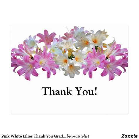 Pink White Lilies Thank You Graduation Postcard Zazzle Com Pink
