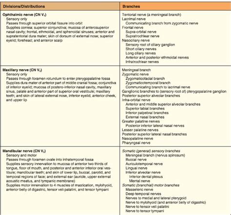 summary of cranial nerves basicmedical key