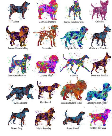 Dog Breed Chart 1 Color Splash Print Dog Breed Chart Poster Etsy
