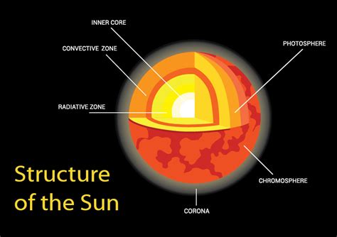Structure Of The Sun Diagram Worksheet