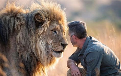 South Africas Lion Whisperer How He Became One And Where To Visit Him