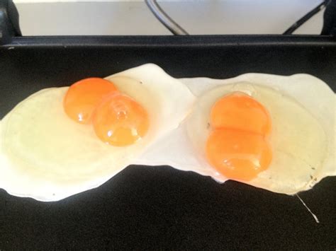 Double Yoked Eggs Ive Won The Lottery Food Eggs Breakfast