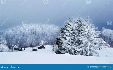 Winter Sunny Day In The Mountains Stock Photo Image Of Snow Scene