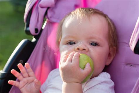 A Hungry Little Girl In A Baby Carriage Eats An Apple Stock Photo