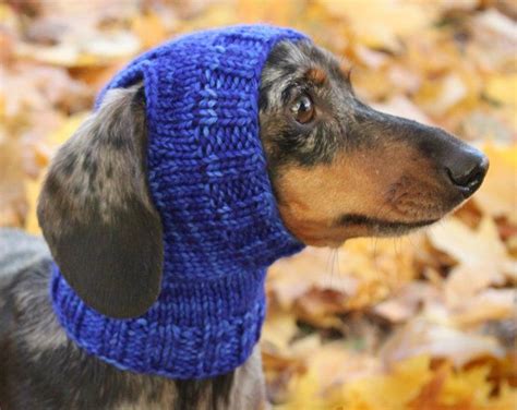 Knitting Pattern Mini Dachshund Dog Hat Small Dog Hat Etsy Dachshund