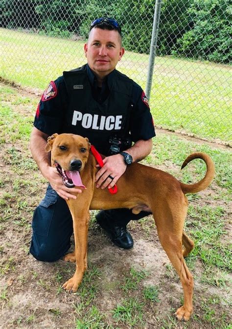 Nacogdoches Pds First Pet Of The Week For June Is Dylan