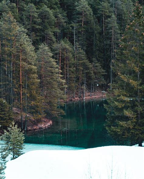 Vertical Picture Of A Half Frozen Lake Surrounded By A Forest With