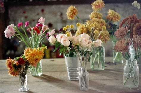 Maybe you would like to learn more about one of these? Jennifer Causey Photography: AMY MERRICK'S STUDIO
