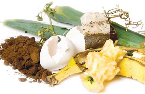 Dalam tabel periodik, oksigen merupakan unsur nonlogam golongan via dan dapat dengan mudah bereaksi dengan hampir semua unsur lainnya (utamanya menjadi oksida). √ Pengertian Limbah Organik dan Non Organik, Perbedaan ...