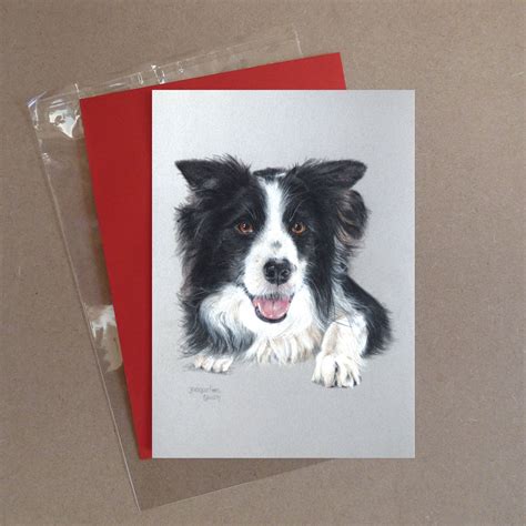 Border Collie Greeting Card 1 Jacqueline South Illustration And Design