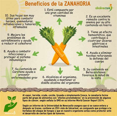 Pin De Naye Pe En Saludable Jugo De Zanahoria Beneficios Vitaminas