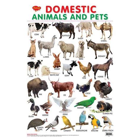Top 151 + Animal photos chart - Lestwinsonline.com