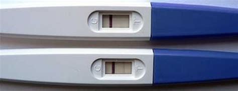 Bauernfänger verbrannt Einstellung електронен тест за бременност цена