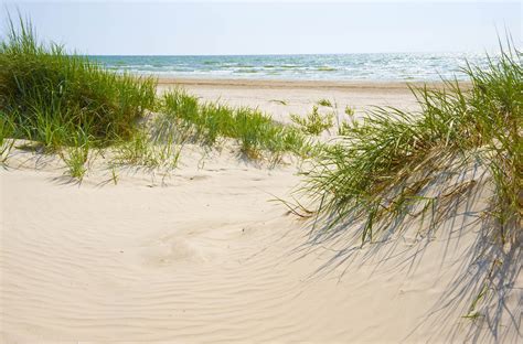 Scientists Are Restoring Coastal Sand Dunes By Using Microbes