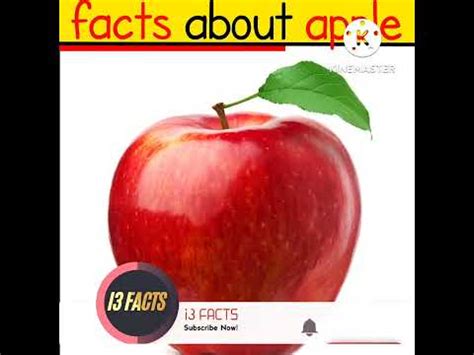 Unknown Facts About Apple Apple Benefits Shorts Facts Ytshorts Crazy XYZ It S Fact
