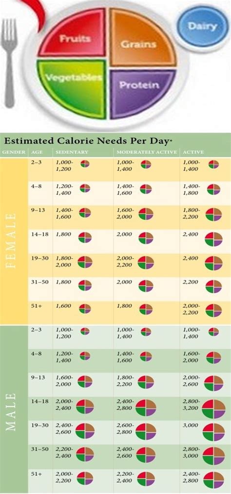 Estimated Calorie Needs Per Day Us Gov 2011 R Coolguides