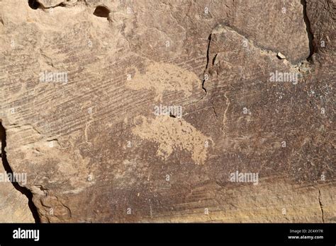 Bison Petroglyph Usa Hi Res Stock Photography And Images Alamy